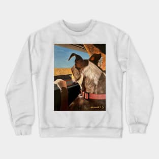 Waiting for the Hunt Crewneck Sweatshirt